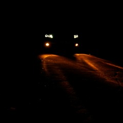 Тима Белорусских - Незабудка