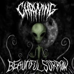 Beautiful Sorrow pt.2