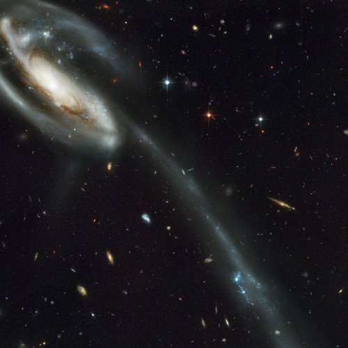 Quando Rondo Feat. JayDaYoungan Thuggin For Real Instrumental Type Beat[Prod. By IceTunez]