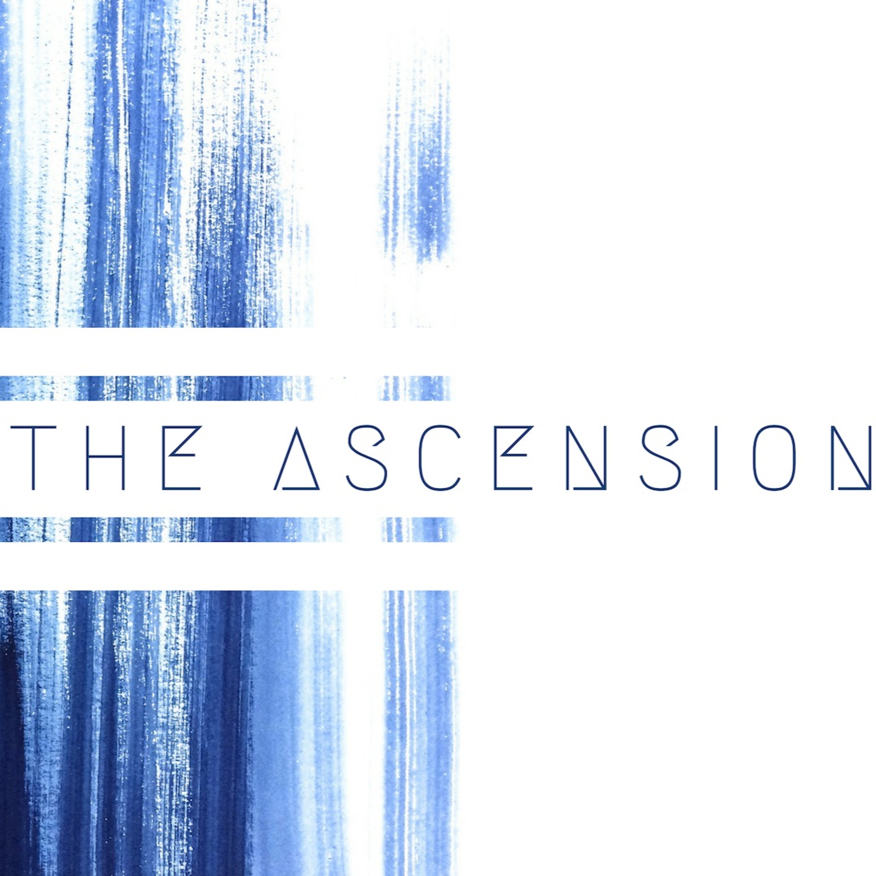 The Ascension // Week 1 (Kirk Palmer)