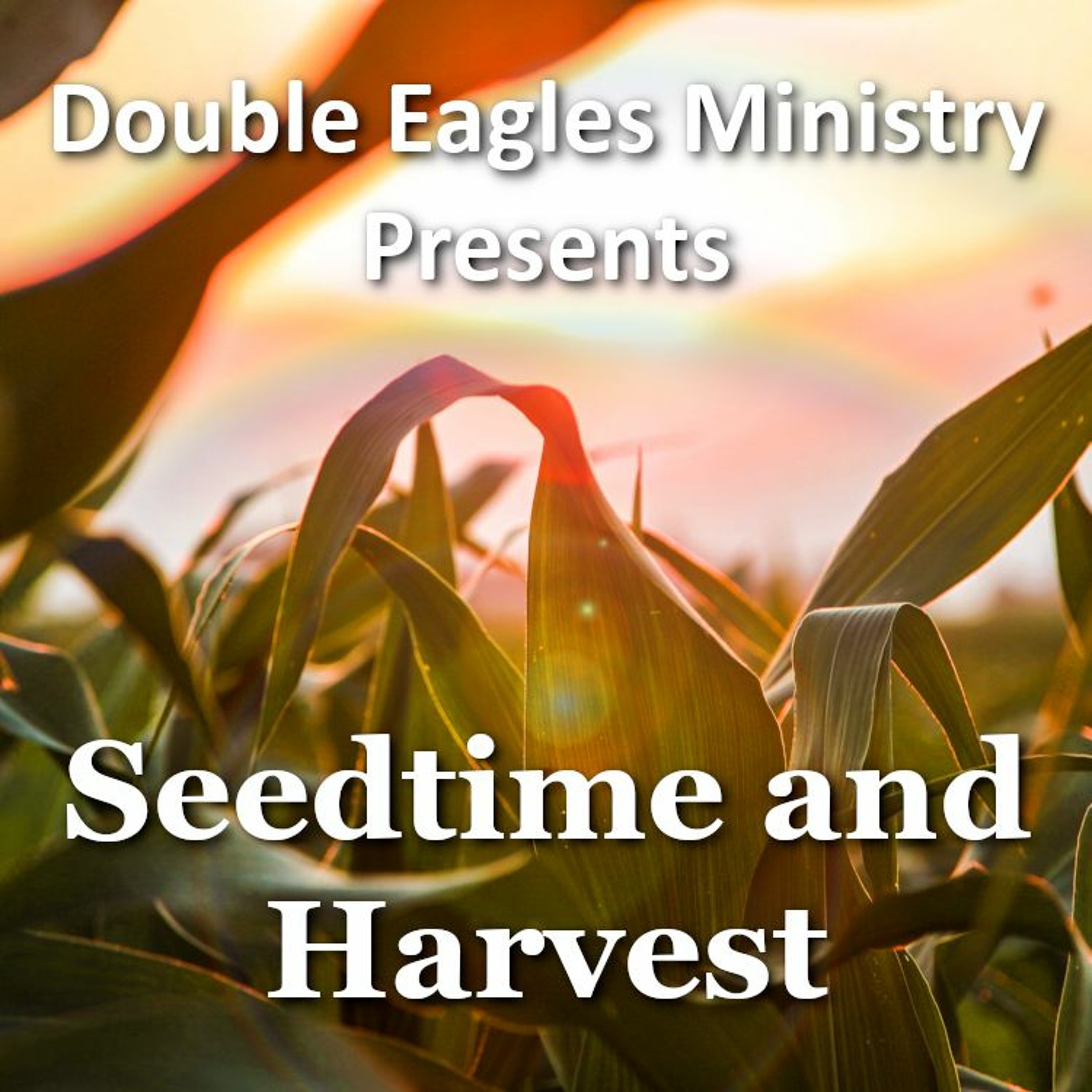 Seedtime and Harvest episode artwork