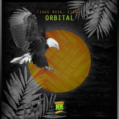 Tiago Rosa & ZIGROV - Orbital (Original Mix) FREE DOWNLOAD