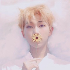 RM - BTS (방탄소년단) - Moonchild