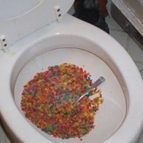 What Can Happen If You Flush Food Down the Toilet?
