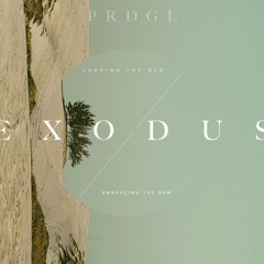 EXODUS - WEEK 4