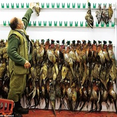 burstin beattape larder