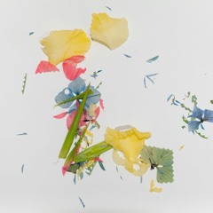 Concerto For AI By AI - Radio Edit