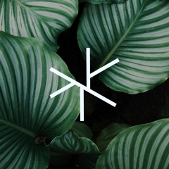 Live at Noctuary x Asterisk 10/2018