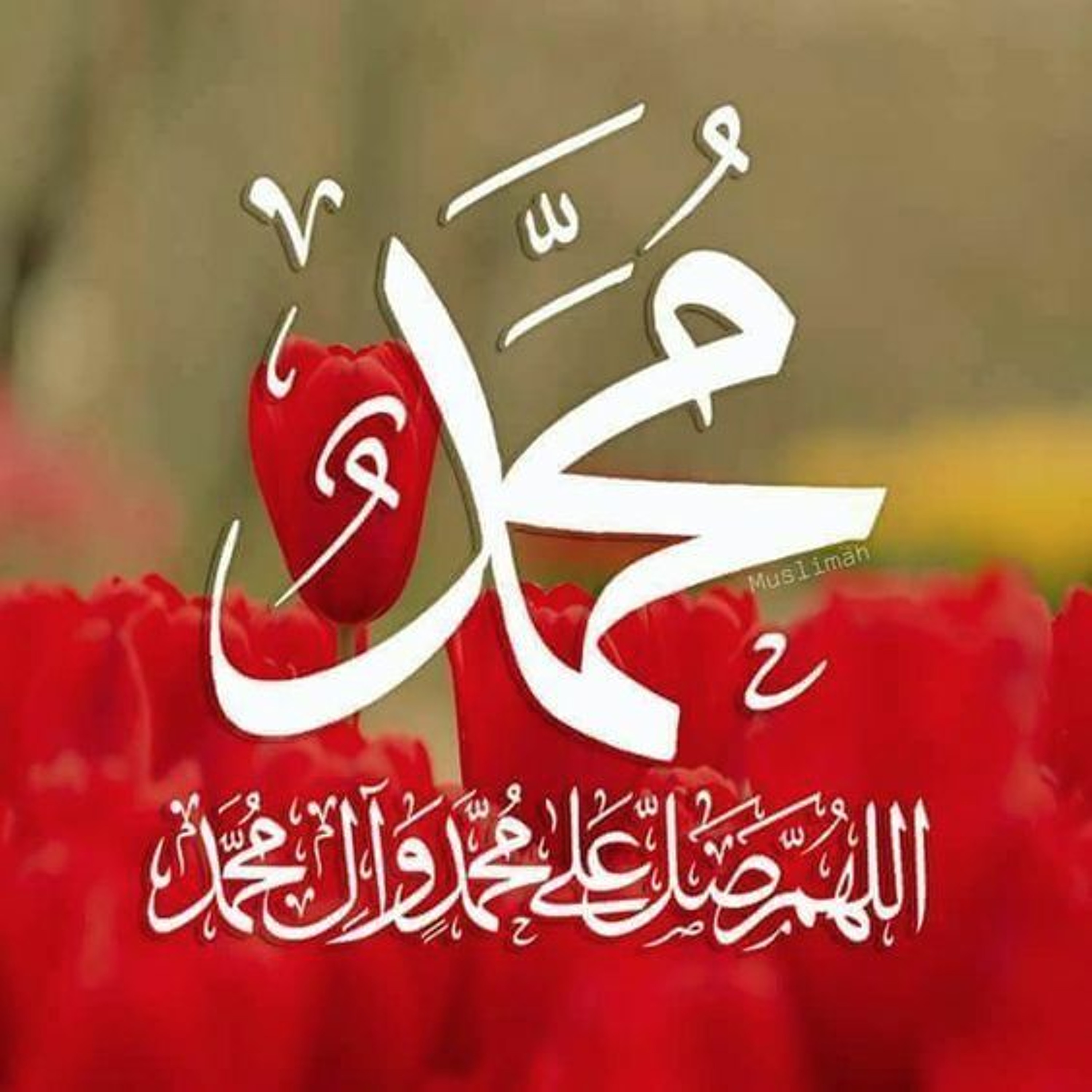the Seed must become a Rose to Give its Sweetness and Beauty to Creation