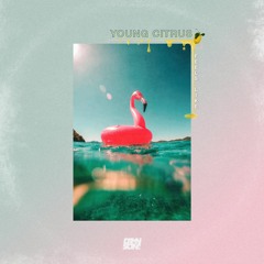 Young Citrus - Feels Like