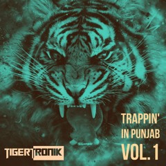 Trappin' in Punjab Vol. 1 | Party Mix | TIGERTRONIK