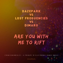 Lost Frequencies vs Dannic vs Dazepark vs DIMARO — Are You With Me To Rift (Mini Medley)