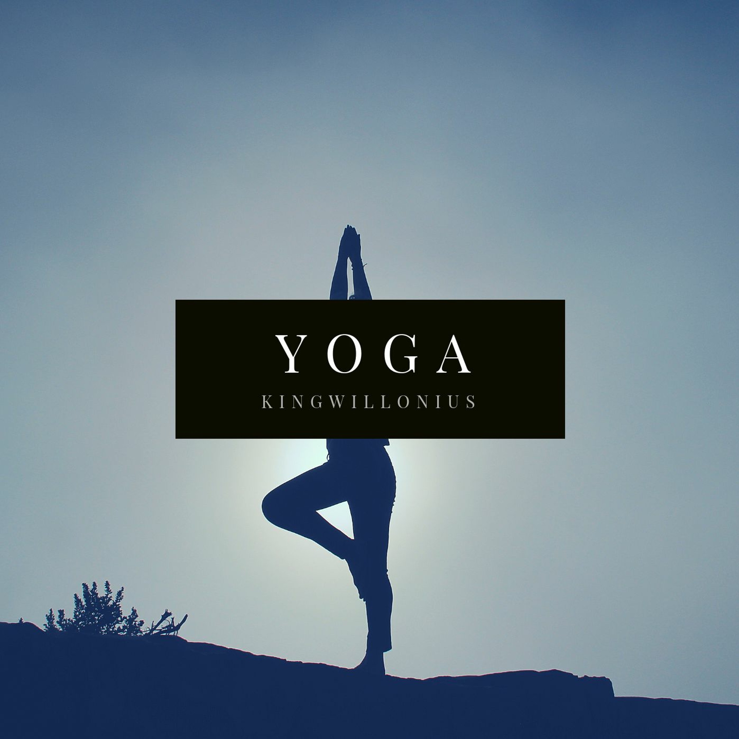 Yoga episode artwork
