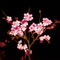 yutsu. (joji style beat)