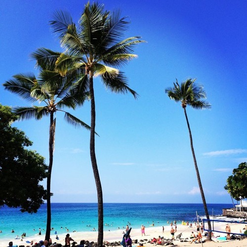 P I K O T A - WSKN 2018