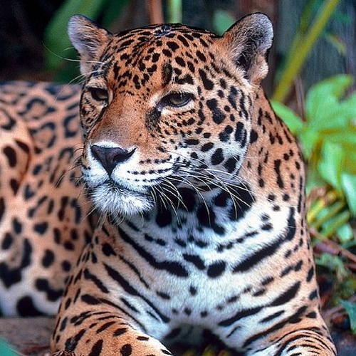 Out The Building (Prod. by Speaker Bangerz)