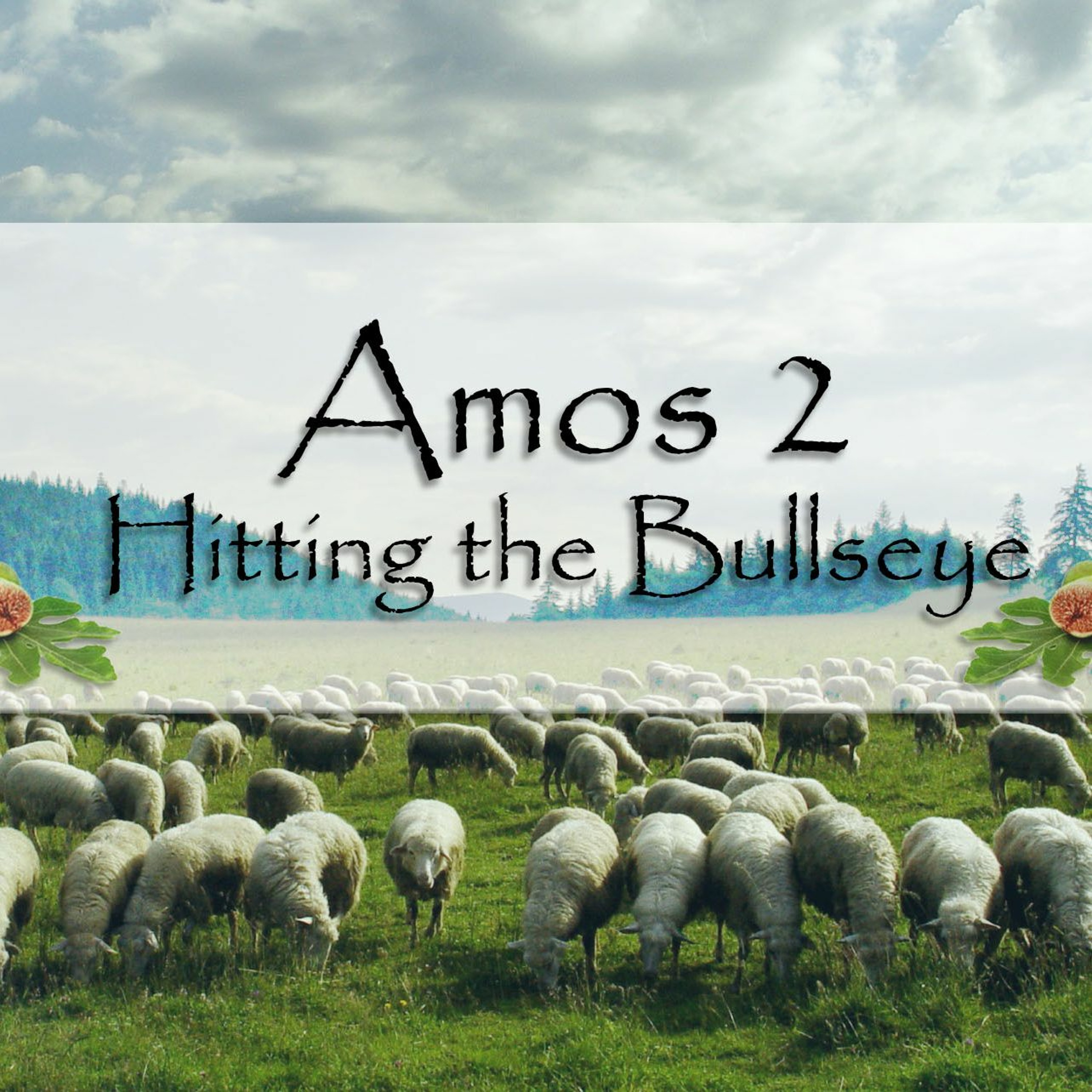 Amos 2 Hitting The Bullseye episode artwork