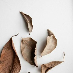 gravity - sara bareilles (short cover)