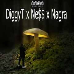 DiggyT - Do You Mind Ft. Ne$$ & Nagra