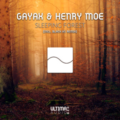 Gayax & Henry Moe - Sleeping Forest (Black XS Remix)