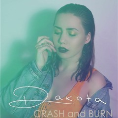 Crash and Burn [Demo]