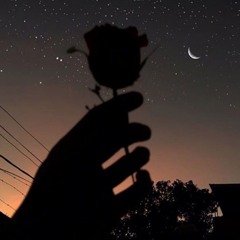 stargazing