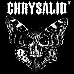 CHRYSALID - Never Give Up