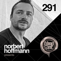 Norbert Hoffmann - Blind Spot 291