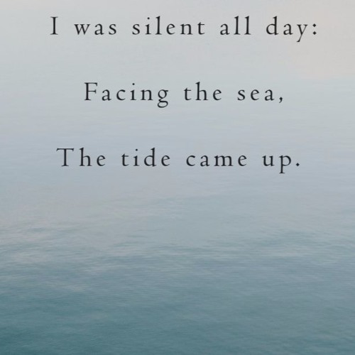 silent waves (naviarhaiku250)