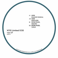 PETER PIXZEL - Topup (VINYL MASTER)