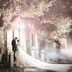 Đám Cưới Như Mơ Remix - Triệu Minh Đạt Ft DJ T.2m