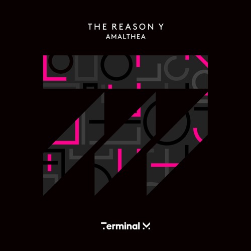 The Reason Y - Circus Of Maniacs