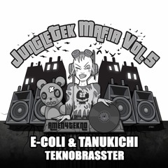 E-Coli & Tanukichi - Teknobrasster