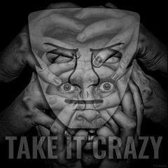 Take It Crazy (Radio Edit)