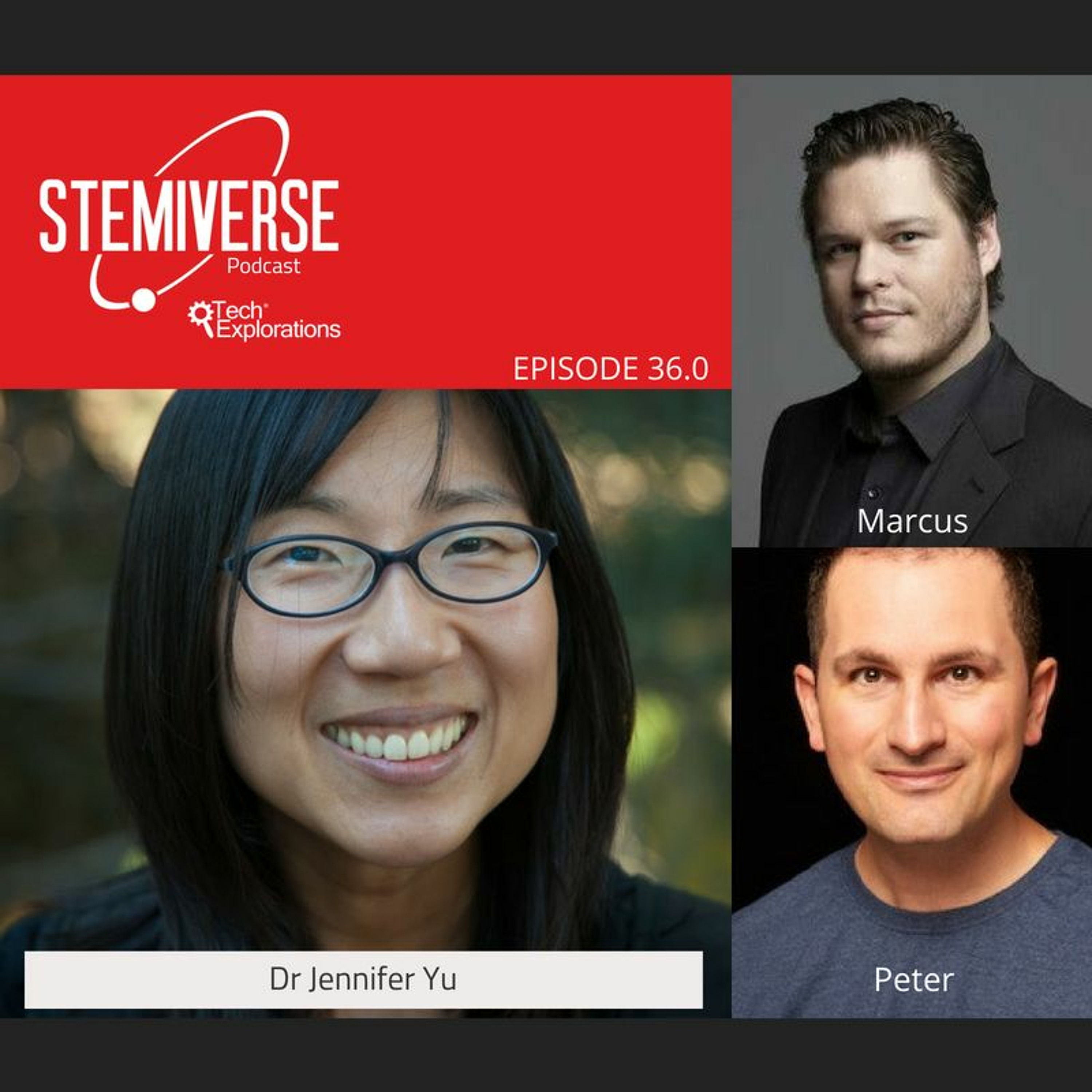 Stemiverse Podcast