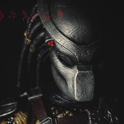 Latte - Predator