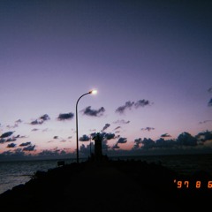 rojda - werî lo