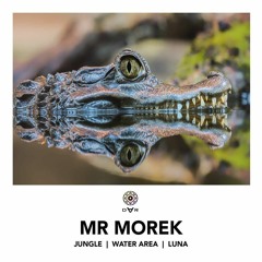 PREMIERE: Mr Morek — Jungle / Water Area / Luna — DAR LABEL, [Teasers]