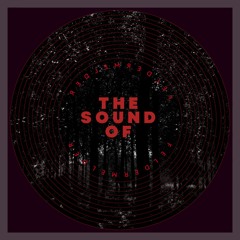 Feldermelder - Another Place