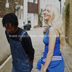Marie Dahlstrom & Secaina - Mood