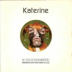 Je Vous Emmerde Remix House Avec Solo Stooges (inédit)