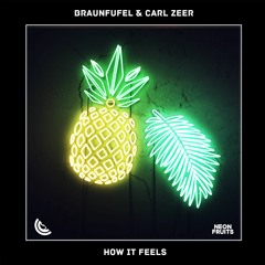BRAUNFUFEL & Carl Zeer - How It Feels 🍉