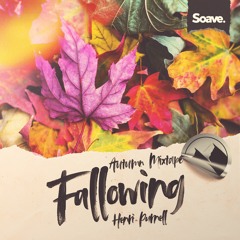 Fallowing | Soave Mixtape by Henri Purnell