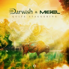 Darwish & Migel - In To Space_preview sample