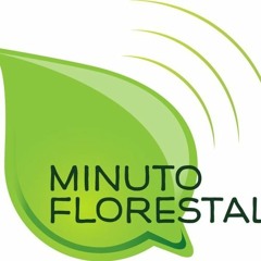 Prêmio Madeiras Alternativas