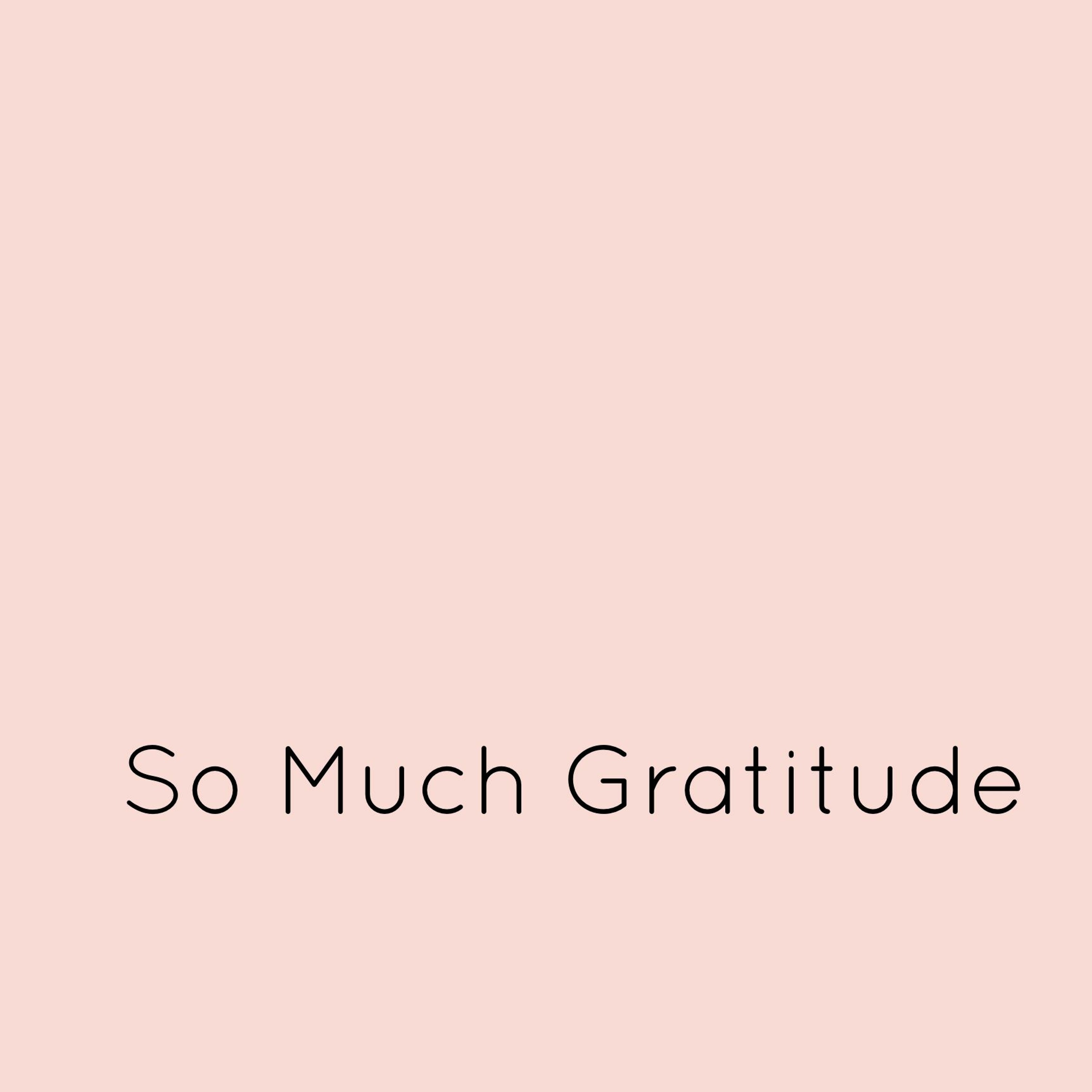 Ep 9: So Much Gratitude episode artwork