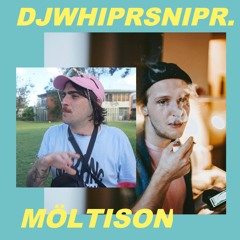 DJ WHIPR SNIPR FT. MÖLTISON - Southern Sevil / Free Download