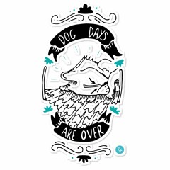 Christian Amaper - Dog Days Are Over Remix