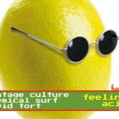 Vintage Culture, Chemical Surf VS. David Tort - Feeling Acid (BOOTLEG)