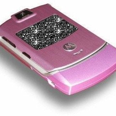 MOTOROLA